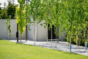 Ogrodzenia betonowe LOVBET